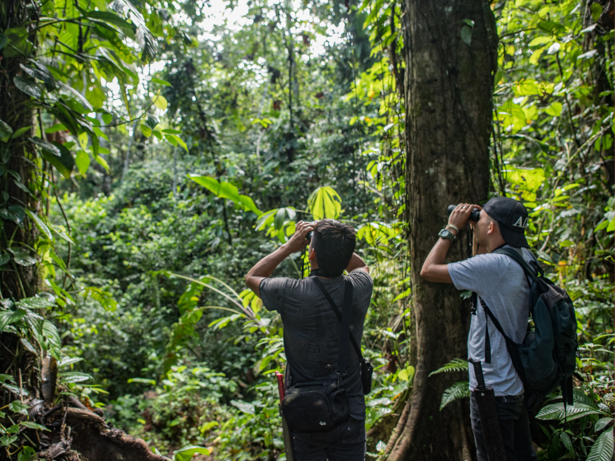 Jocotoco is building the first scientific station in the Ecuadorian Chocó